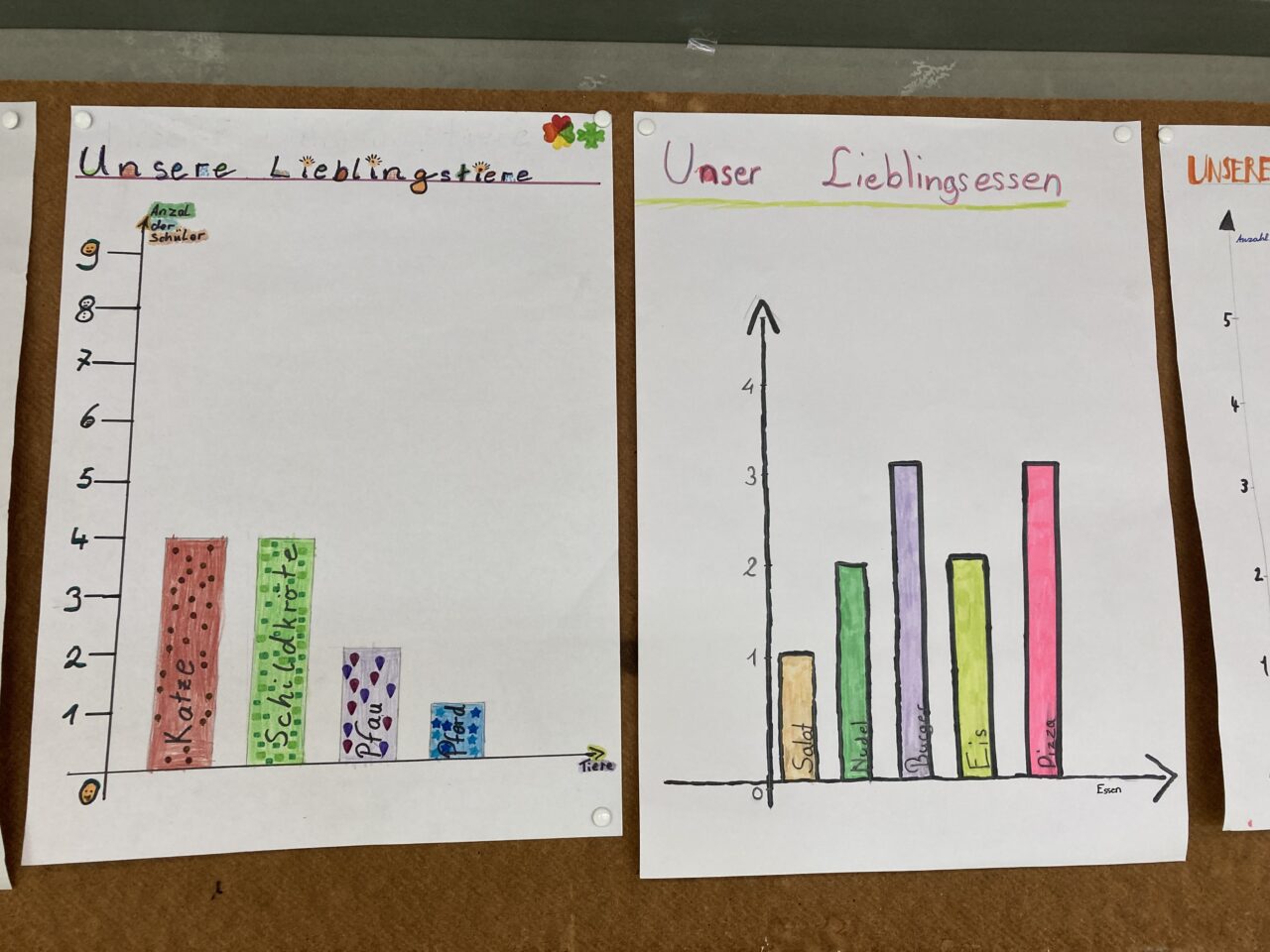 Umfrageergebnisse aus der Klasse 5 a