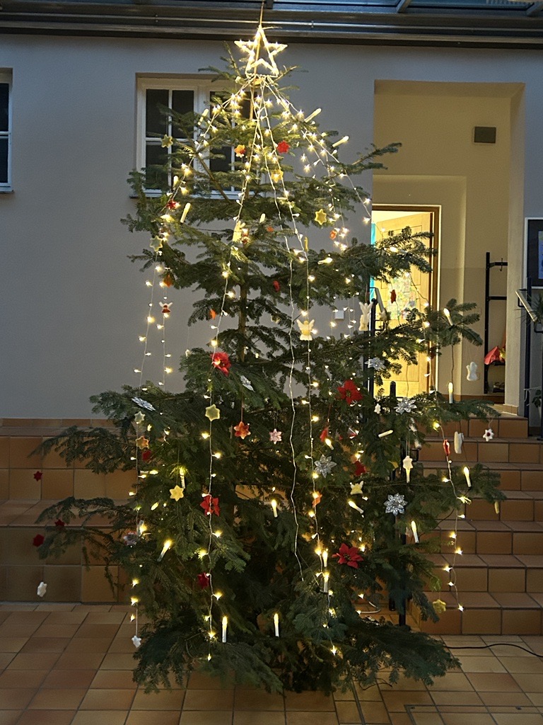 Eindrücke: Advent in unserer Firnhaberau