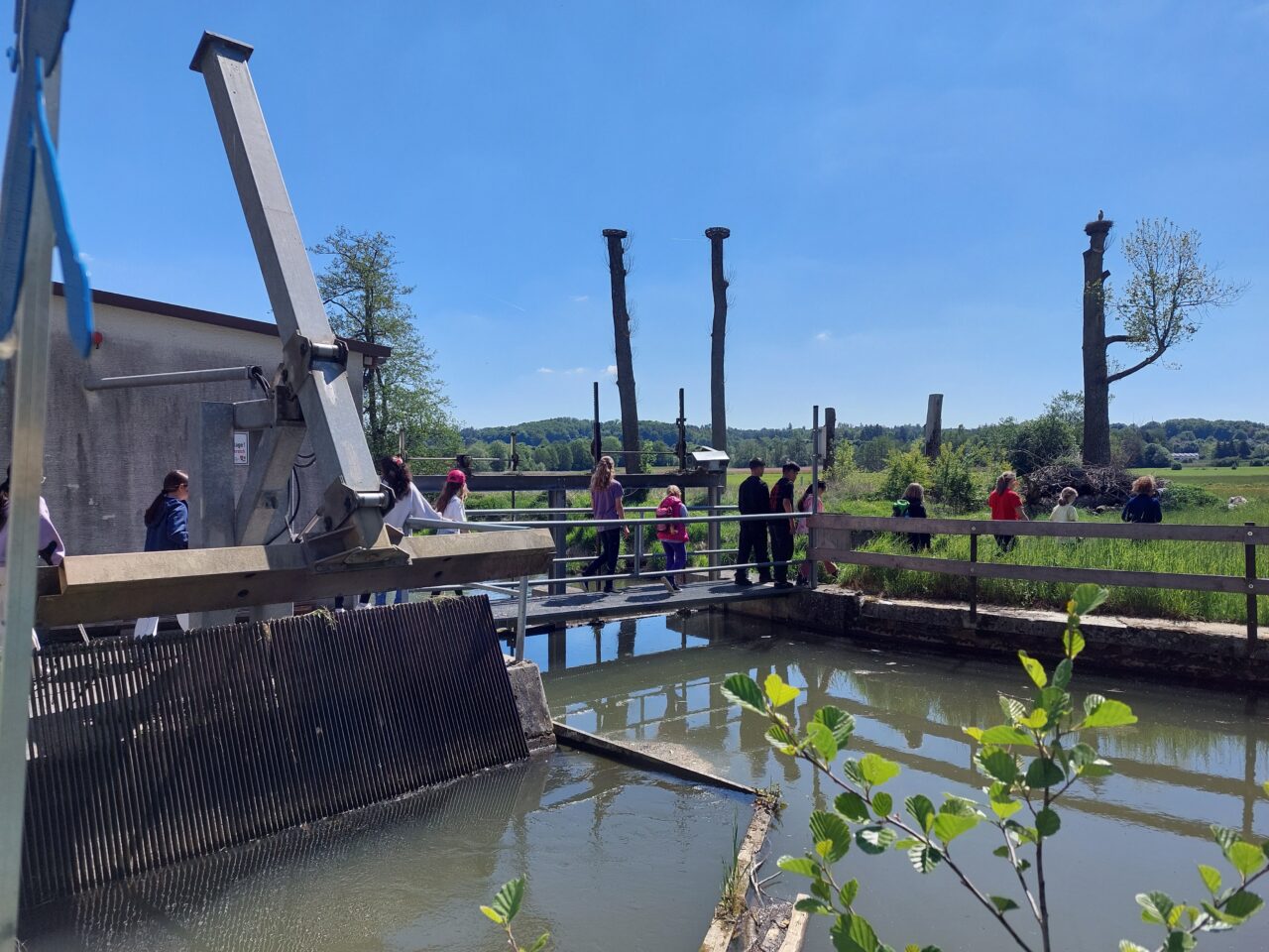 Abenteuer am Wasser – Exkursion ins Umweltzentrum Schmuttertal
